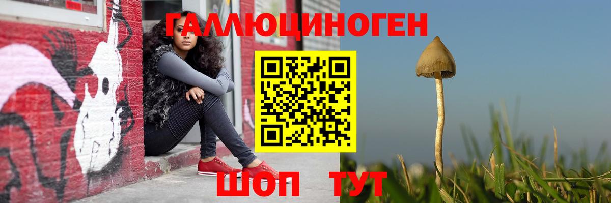 Псилоцибиновые грибы GOLDEN TEACHER  Вход с VPN  Похвистнево  Псилоцибиновые грибы прущие грибы 